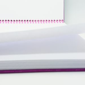 Hover Image