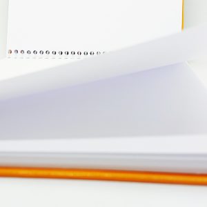 Hover Image