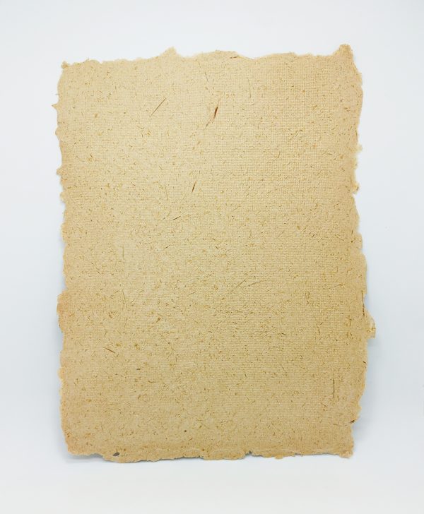 Papel TOTORA con textura color Natural - Imagen 2
