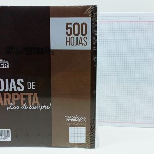 Hojas de carpeta LIDER 4 mm cuadricula Elba