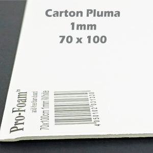 Cartón Pluma Foam 1 mm 70 x 100 cm color blanco