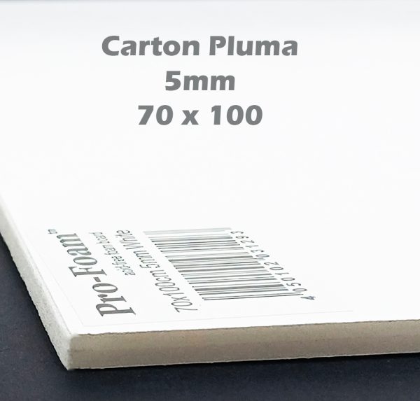 Cartón Pluma Foam 5 mm 70 x 100 cm color blanco