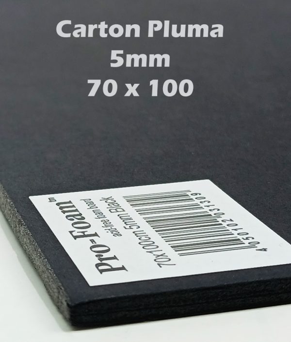 Cartón Pluma Foam 5 mm 70 x 100 cm color negro
