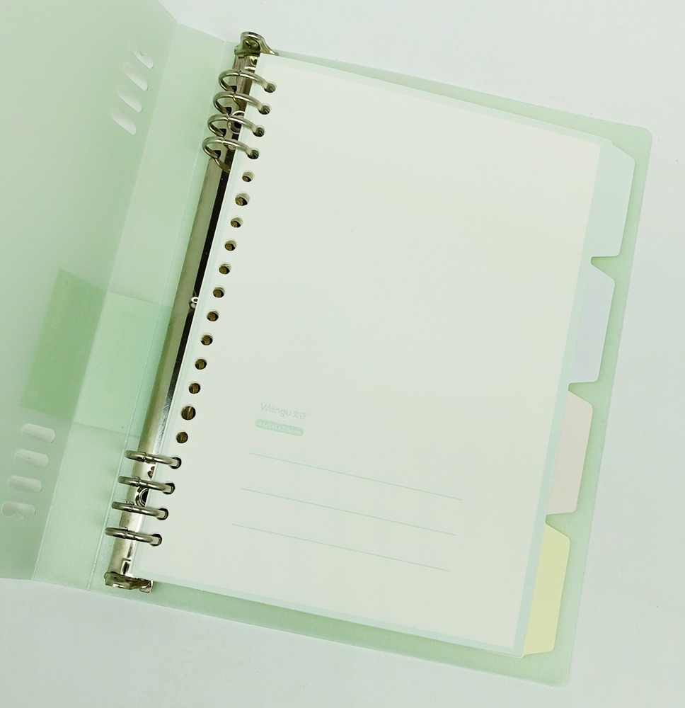 Cartapacio de 8 anillas A-5 ORIGINAL BI073 hojas rayadas con separador tapa plástica - Imagen 2