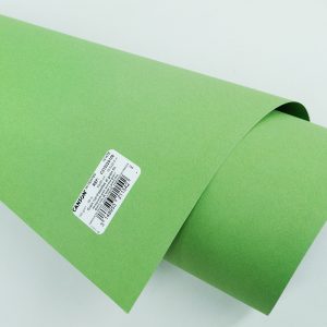 Cartulina CANSON Mi Tientes 50 x 65 cm 160 gr. Verde Manzana N°475